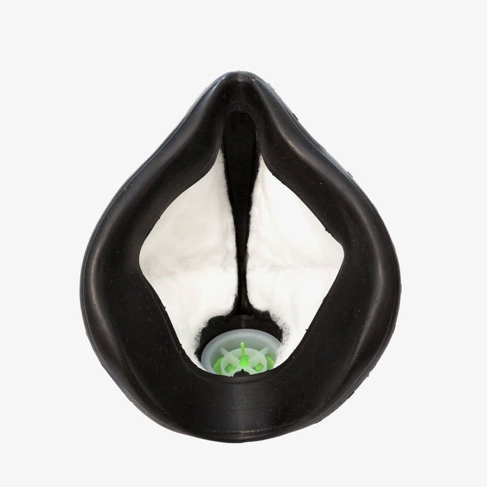 Reusable disposable face mask